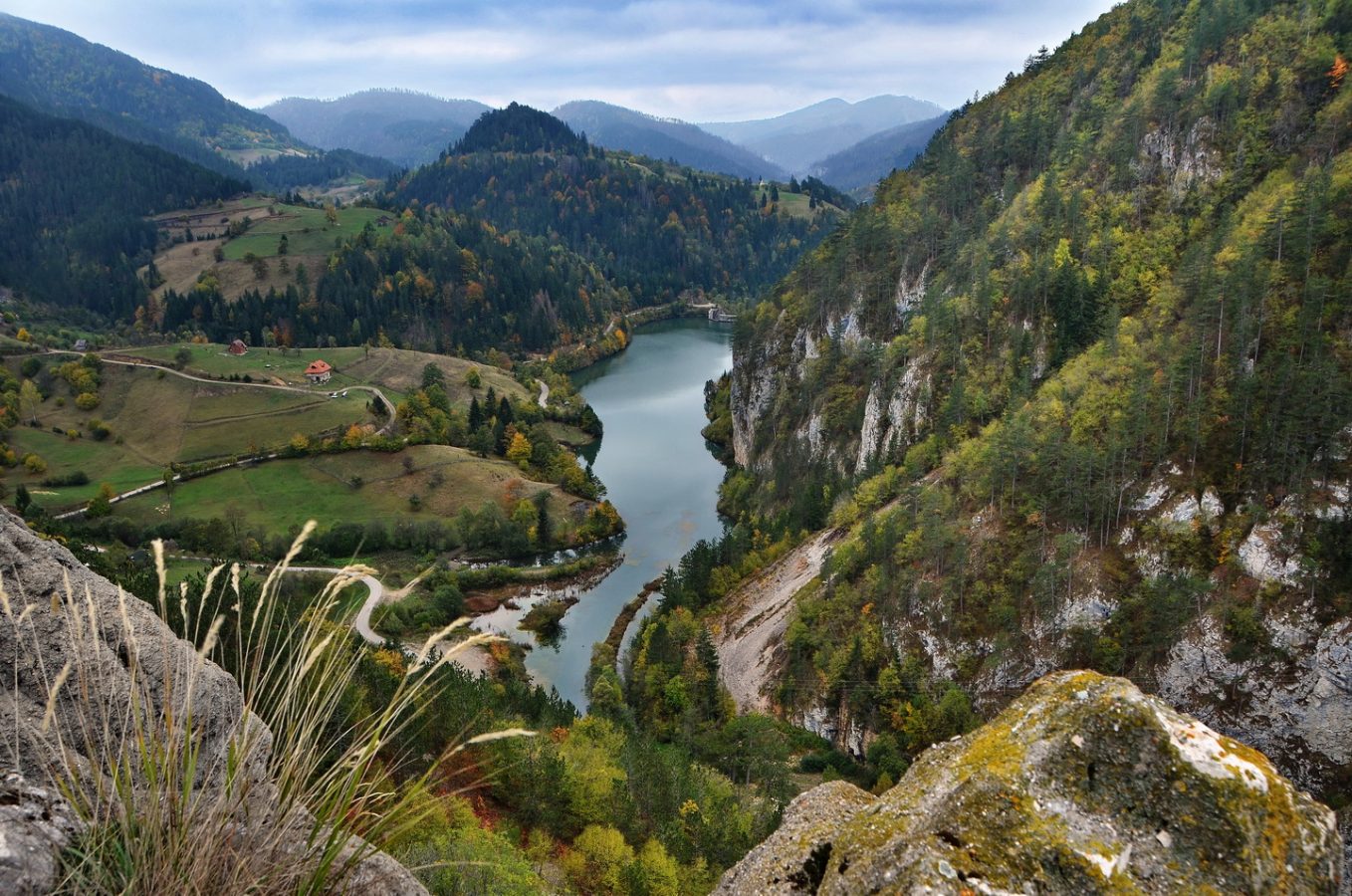 Tara National Park