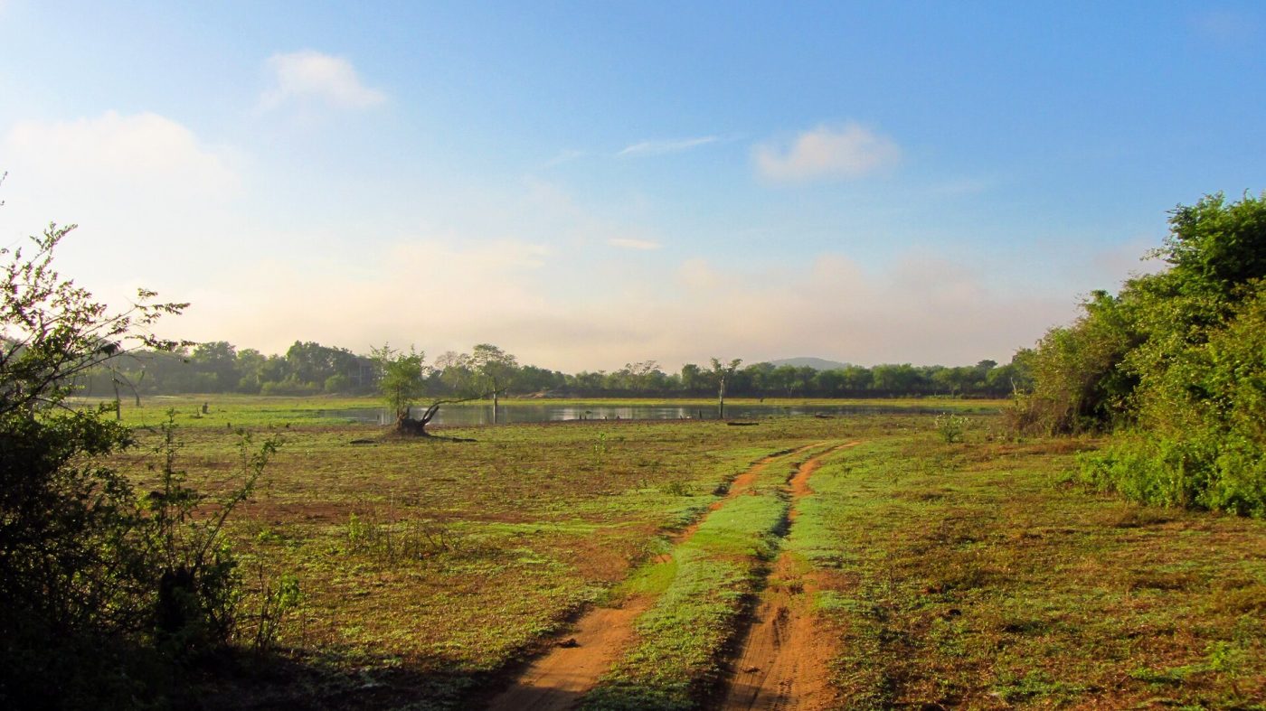 Wasgamuwa National Park
